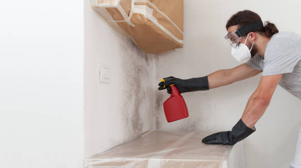 Professional Bathroom Mold Removal technician working in Sewaren, NJ